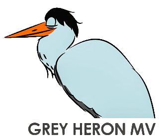 Grey Heron
