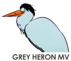 Grey Heron